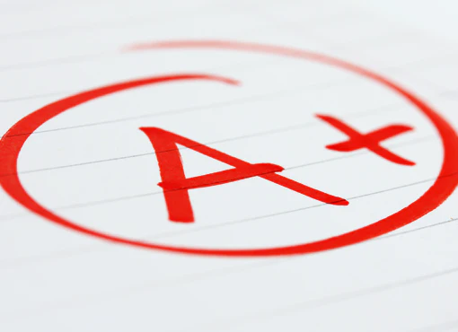 Education Law: A+ Tips for Staying in Compliance