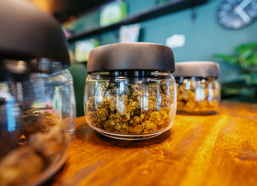 Marijuana Business Operations in Missouri - Image 2