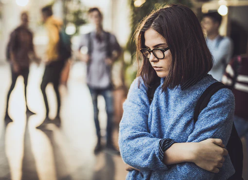 Real-World Techniques for Litigating Student Bullying Cases