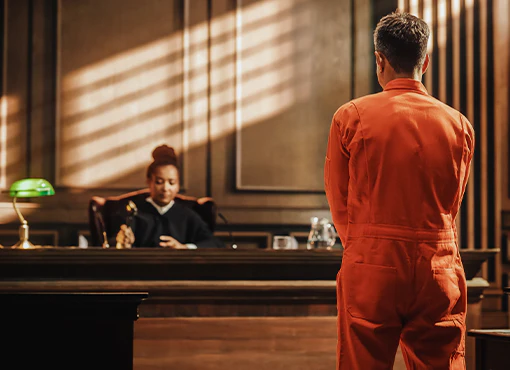 From Scene to Sentencing: Criminal Case Mechanics Revealed Through True Crime Stories - Image 3