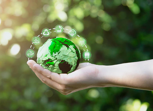 Environmental Law Essentials - Image 3