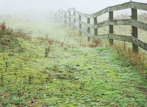 Resolving Complex Easement Issues - Image 3