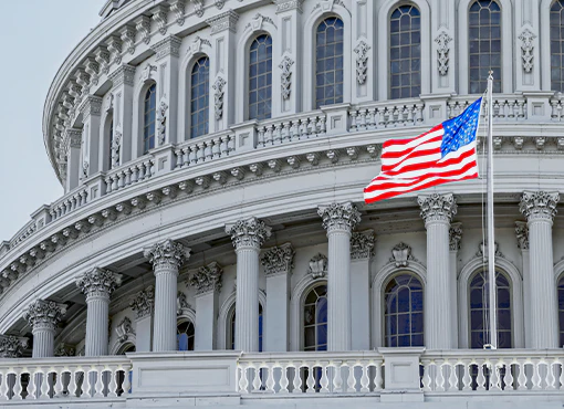 Government Contracts 2025: Executive Orders Edition