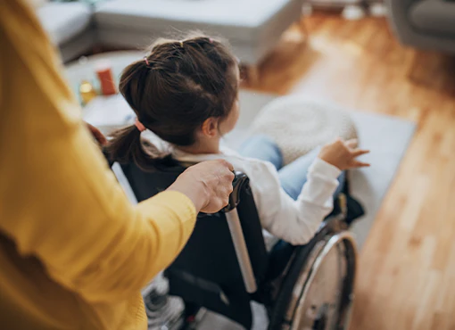 Special Needs Planning in California: Attorneys' Definitive Guide