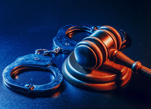 The Complete Criminal Defense Lawyer