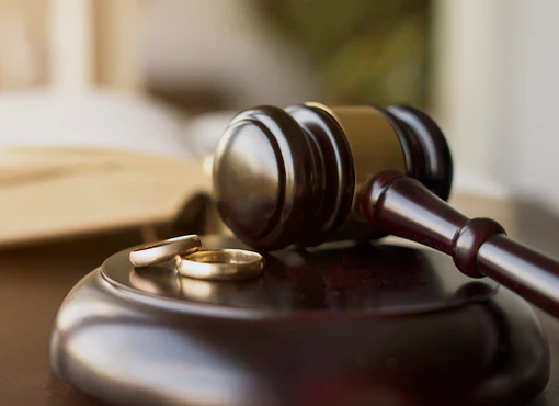 Getting Started in Family Law