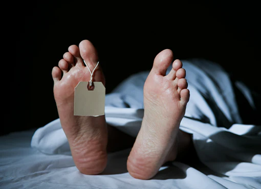 Finnegan is DEAD! A Walk Through a Fictional Probate Case