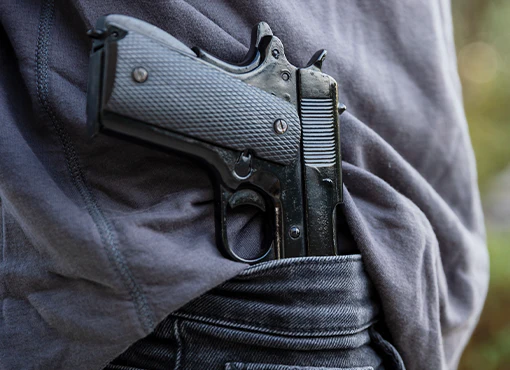 Foundations of Firearms Law