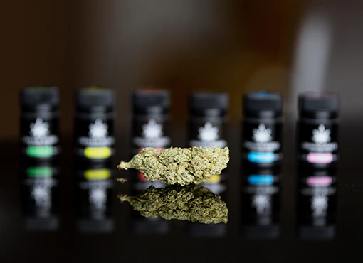 Marijuana Business Operations in New York