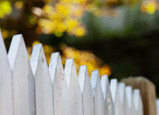 Neighbor Boundary Disputes: Trees, Fences, Noise, and More