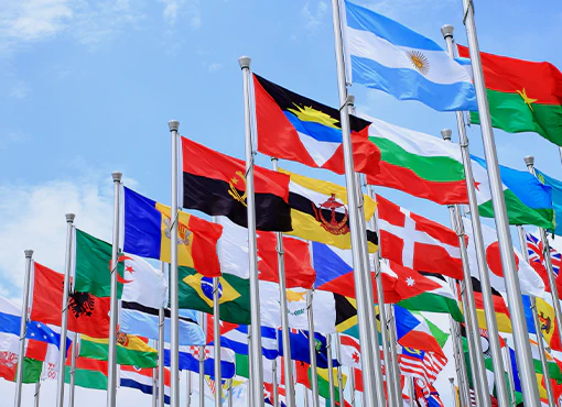Foreign Investment and International Tax Updates 2024 for Estate Planning